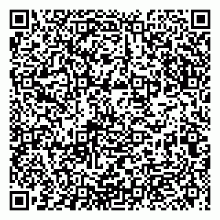 vCard 79993863174
