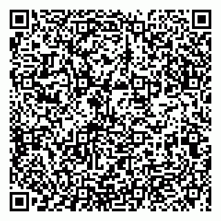 vCard 79993863181