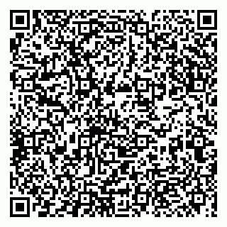 vCard 79993863195