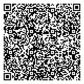 vCard 79993863203