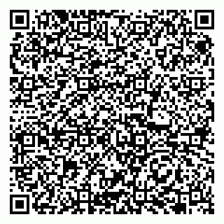 vCard 79993863204