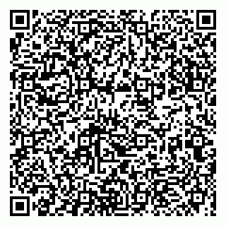 vCard 79993863208