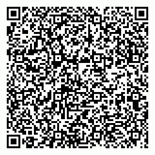 vCard 79993863209