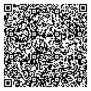 vCard 79993863220