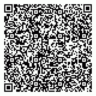 vCard 79993863225