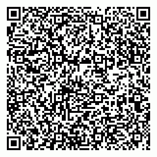 vCard 79993863231