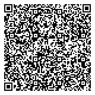 vCard 79993863237