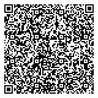 vCard 79993863238