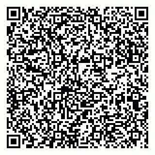vCard 79993863248