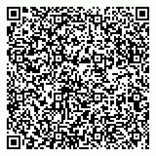 vCard 79993863273
