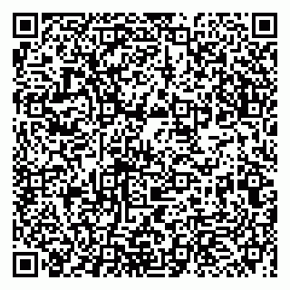 vCard 79993863281