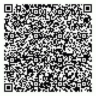 vCard 79993863298