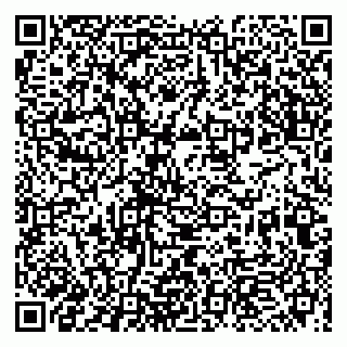 vCard 79993863300