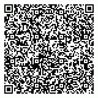 vCard 79993863334
