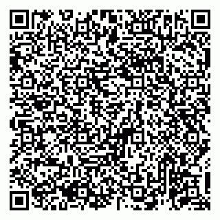 vCard 79993863335