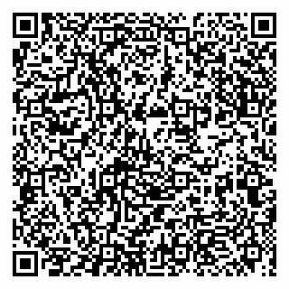 vCard 79993863337