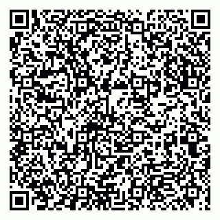 vCard 79993863341