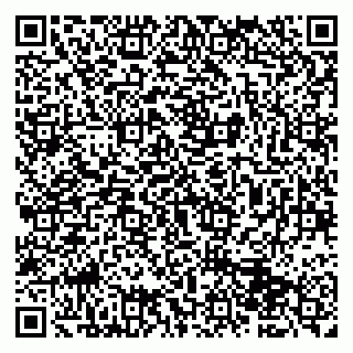 vCard 79993863384