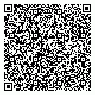 vCard 79993863399