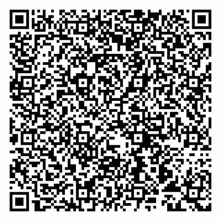 vCard 79993893011