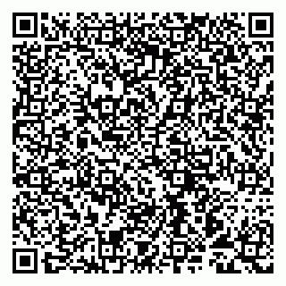 vCard 79993893013
