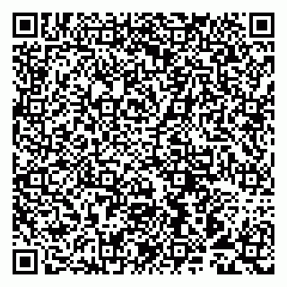 vCard 79993893037