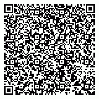 vCard 79993893060