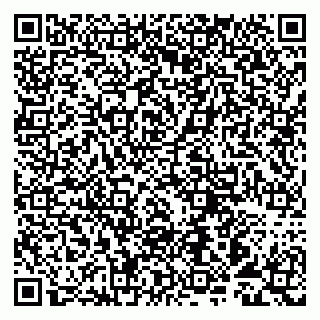 vCard 79993893070
