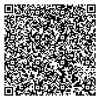 vCard 79993893071