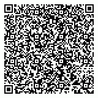 vCard 79993893087
