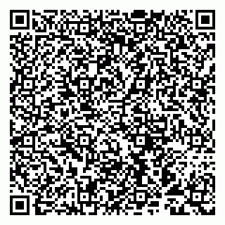 vCard 79993893102