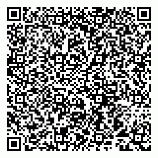 vCard 79993893104