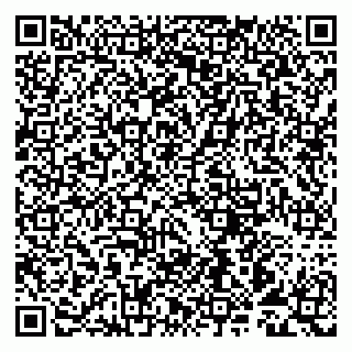 vCard 79993893130