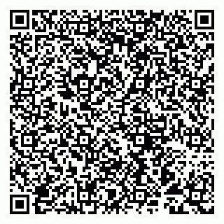 vCard 79993893133