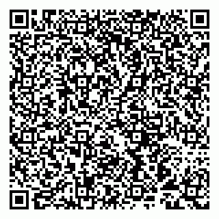 vCard 79993893137