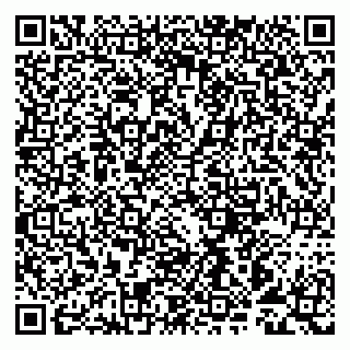 vCard 79993893152