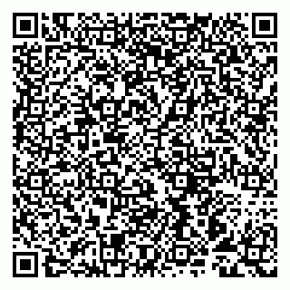 vCard 79993893171