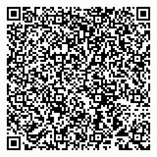 vCard 79993893173