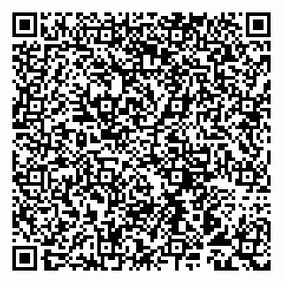 vCard 79993893175
