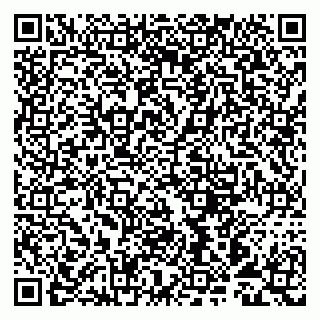 vCard 79993893181
