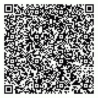 vCard 79993893203