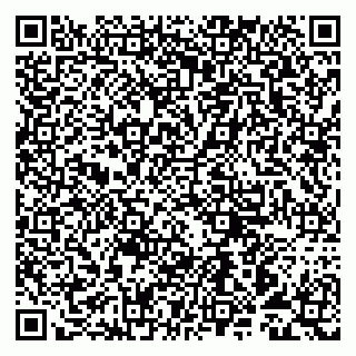 vCard 79993893207