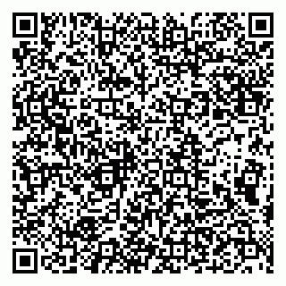 vCard 79993893208