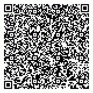vCard 79993893220