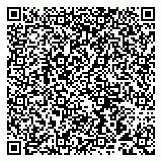 vCard 79993893231