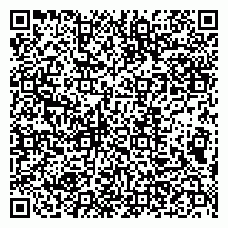 vCard 79993893255