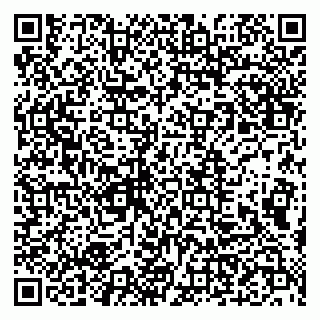 vCard 79993893301