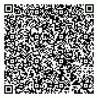 vCard 79993893303