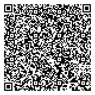 vCard 79993893311