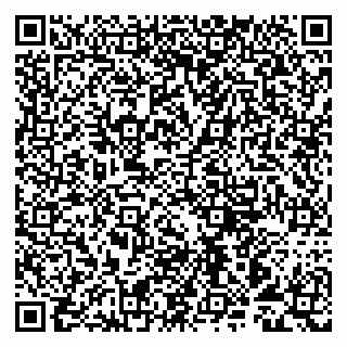 vCard 79993893312